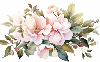 Watercolor Flowers Bouquets, illustration background 184