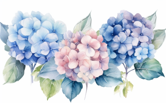 Watercolor Flowers Bouquets, illustration background 356.