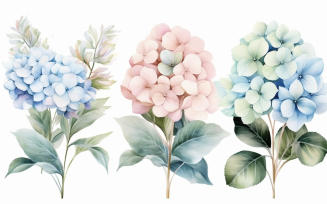 Watercolor Flowers Bouquets, illustration background 357