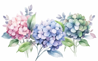 Watercolor Flowers Bouquets, illustration background 359