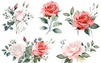 Watercolor Flowers Bouquets, illustration background 495