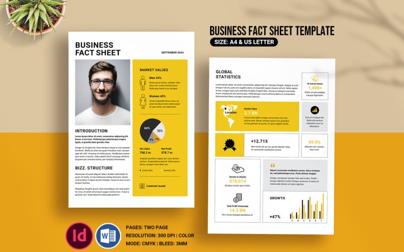 Business Fact Sheet, Indesign & Word Corporate Identity