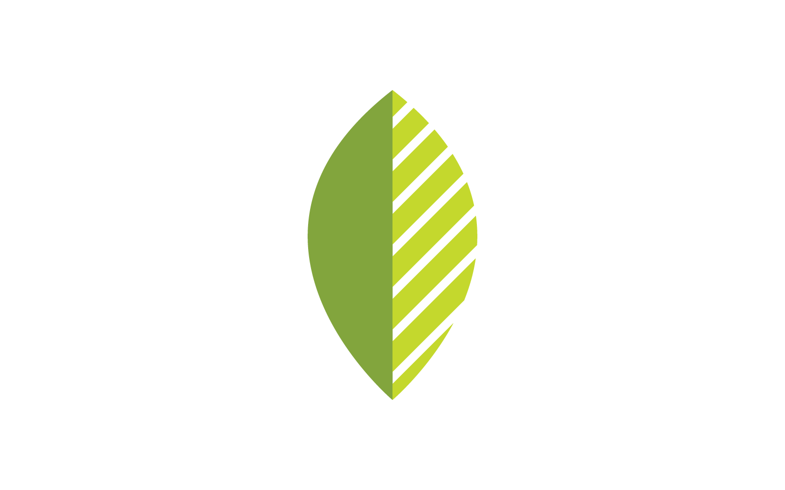 Green leaf illustration nature logo vector design