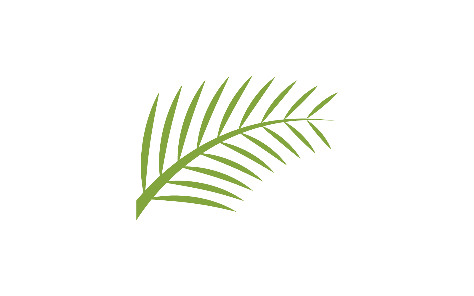 Palm tree leaf illustration logo template design