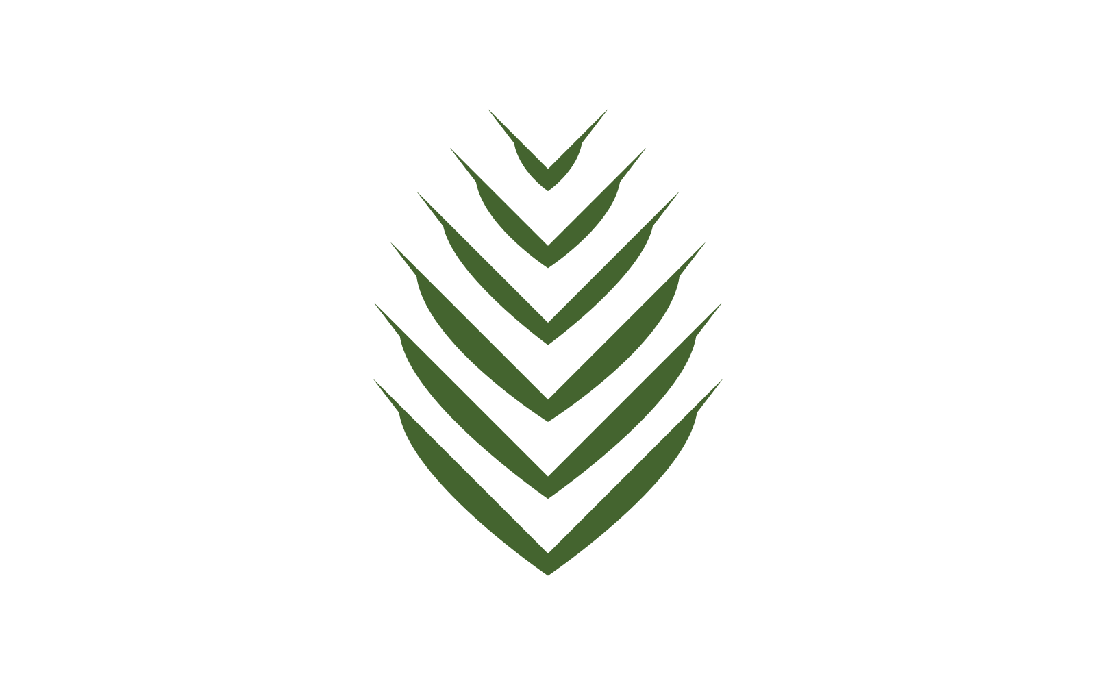 Palm tree leaf illustration logo template vector design Logo Template