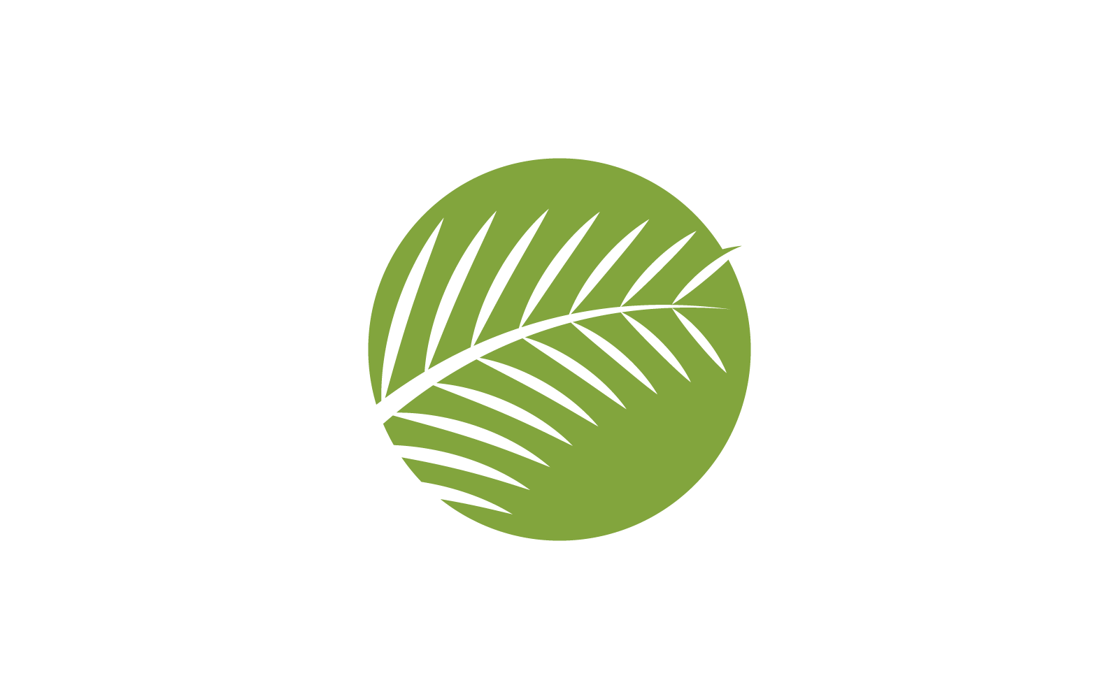 Palm tree leaf illustration logo template vector icon