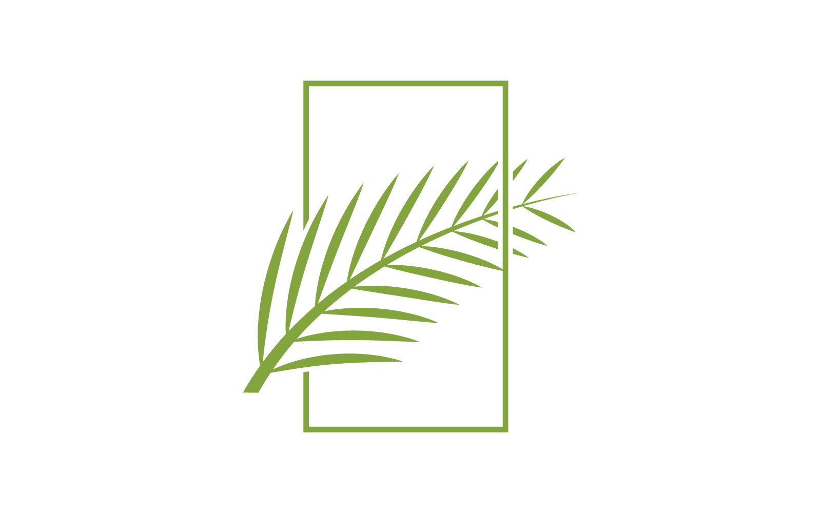 Palm tree leaf  illustration logo vector design template