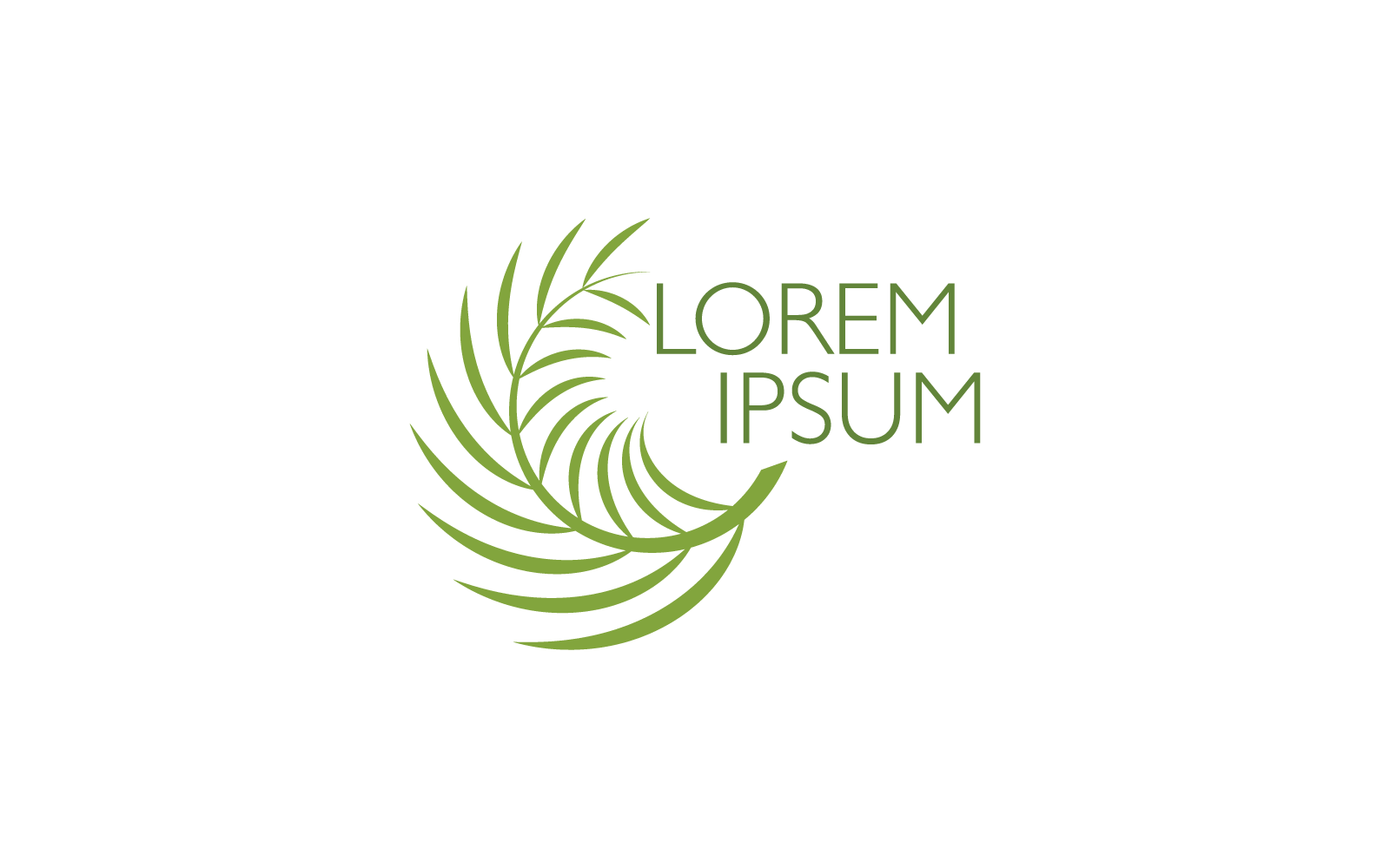 Palm tree leaf  logo template vector illustration design