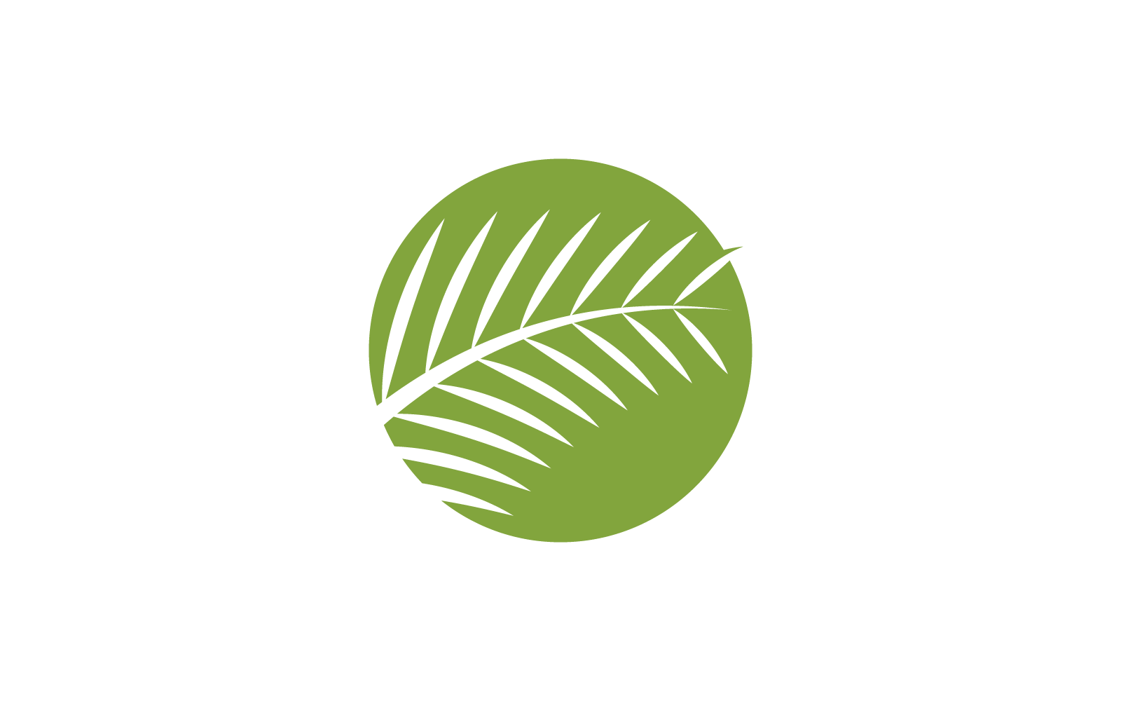 Palmenblatt-Illustration, Logo-Vorlage, Vektorsymbol