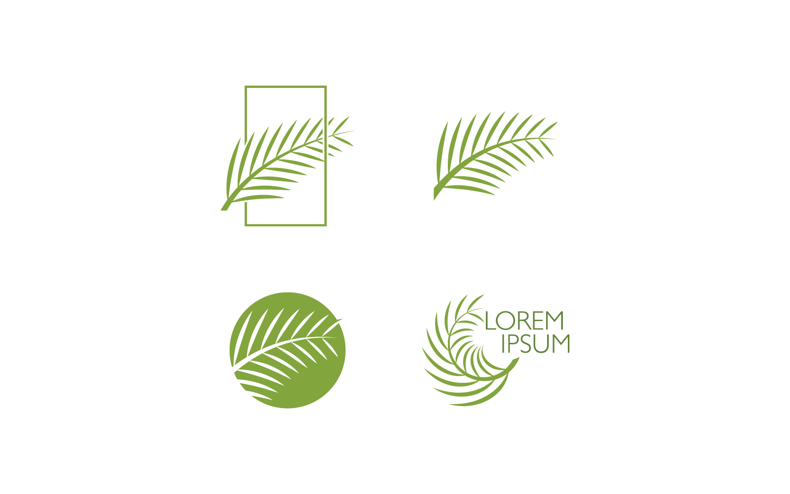 Palm tree leaf illustration logo template vector Logo Template