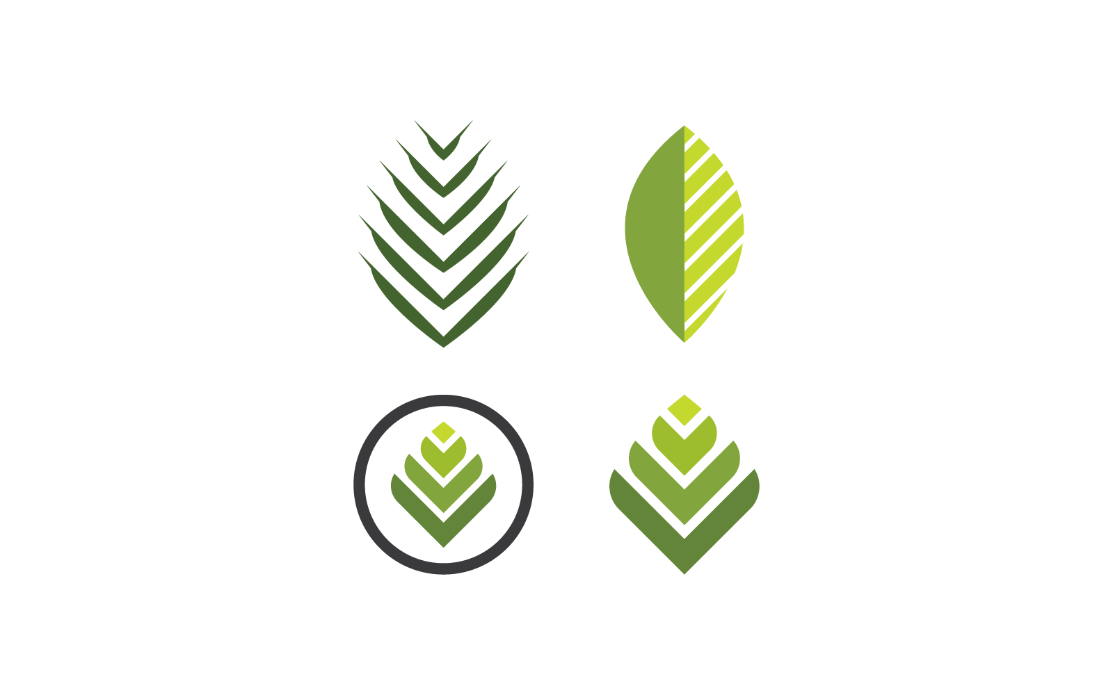 Palm tree leaf illustration logo vector design