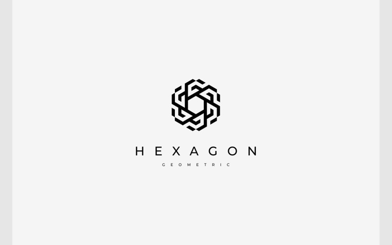 Hexagon Geometric Modern Logo Logo Template
