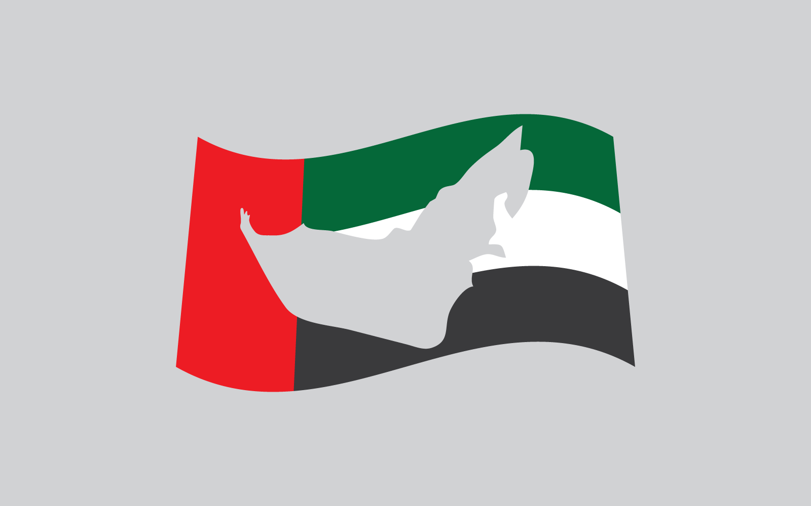 Uni emirate arab flag illustration vector icon flat design