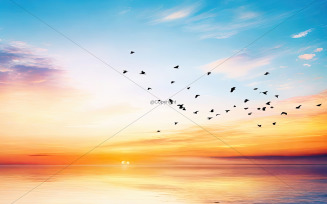 Abstract beautiful peaceful summer sky background sunrise new day and flying flock of birds 04