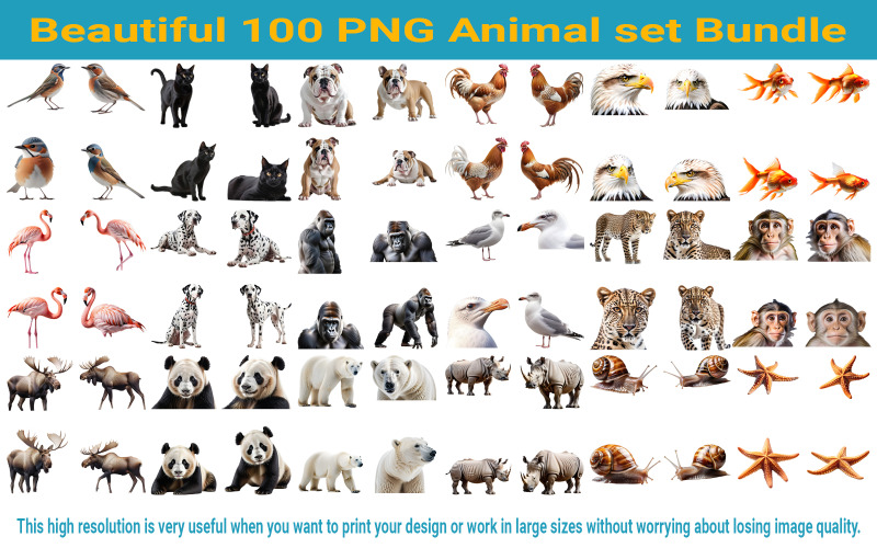 Beautiful 100 PNG Animal set Bundle Illustration
