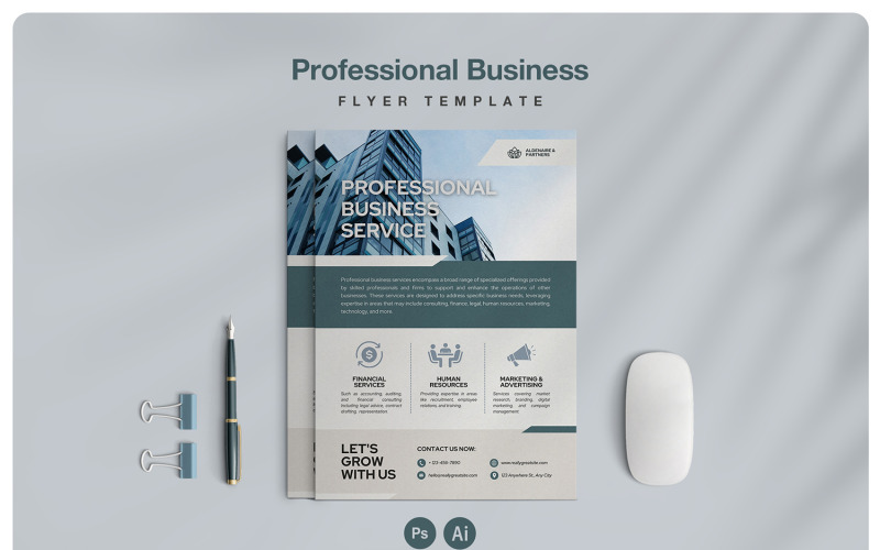 Professional Business Flyer Corporate Identity