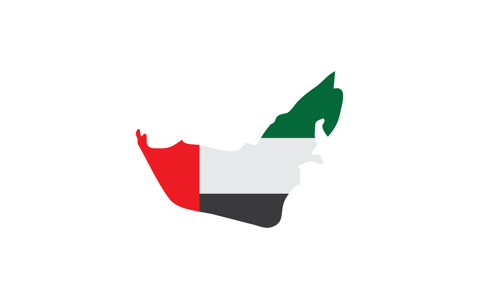 Uni emirate arab flag illustration design