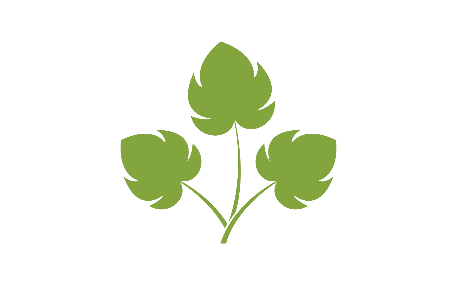 Monstera leaf logo vector design Logo Template