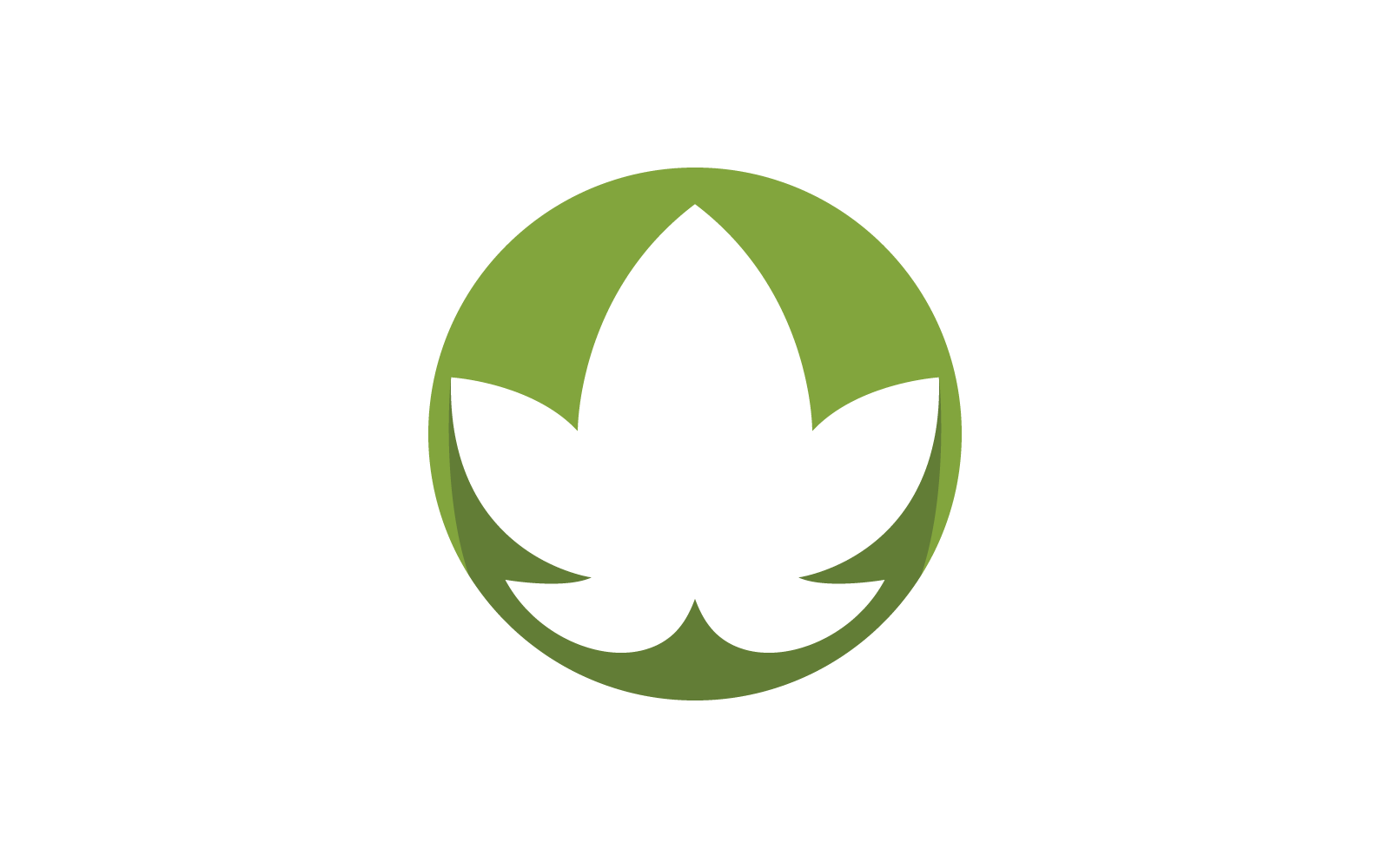 Monstera leaf logo vector flat design Logo Template