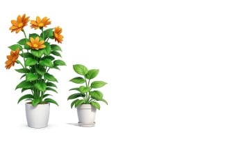Premium High-quality Sunflower grows in a flower pot on White background
