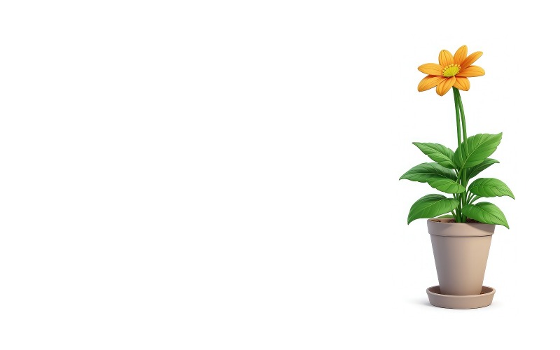 Premium Sunflower in a flower pot on White background Background