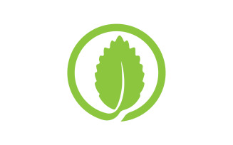 Green leaf eco tree icon logo version 14
