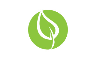 Green leaf eco tree icon logo version 23