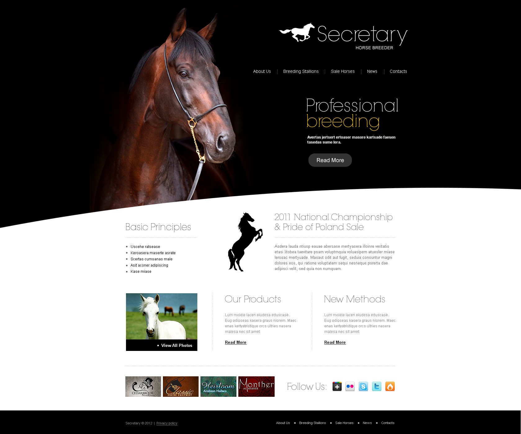 Horse Website Design Templates