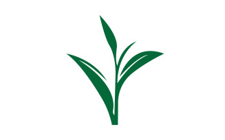 Natural leaf mint green logo illustration design vector v10