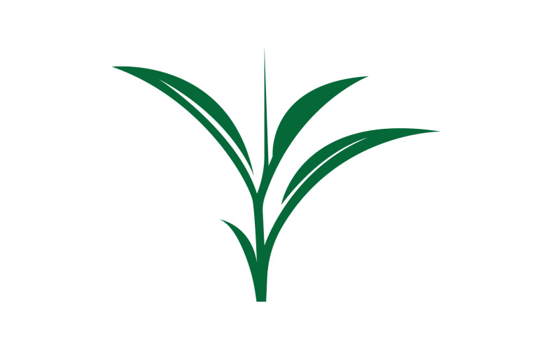 Natural leaf mint green logo illustration design vector v15 Logo Template