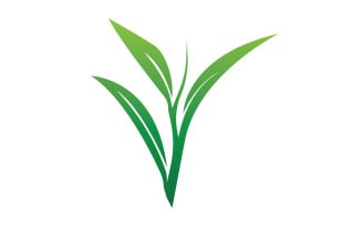 Natural leaf mint green logo illustration design vector v16