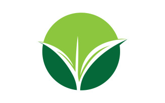 Natural leaf mint green logo illustration design vector v17