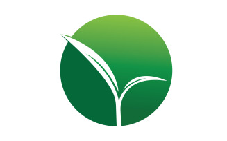 Natural leaf mint green logo illustration design vector v18