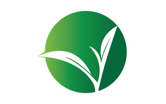 Natural leaf mint green logo illustration design vector v19