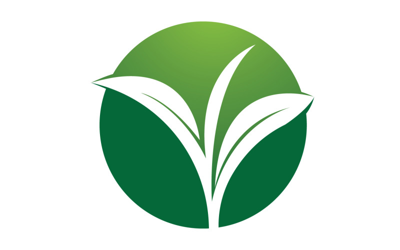 Natural leaf mint green logo illustration design vector v20 Logo Template