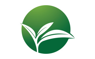 Natural leaf mint green logo illustration design vector v21