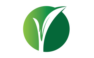 Natural leaf mint green logo illustration design vector v23