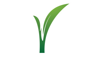 Natural leaf mint green logo illustration design vector v3