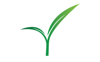 Natural leaf mint green logo illustration design vector v5