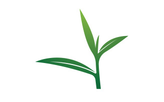 Natural leaf mint green logo illustration design vector v6