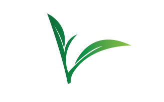 Natural leaf mint green logo illustration design vector v7