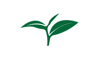 Natural leaf mint green logo illustration design vector v8