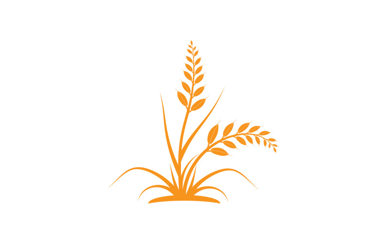 Golden Wheat Ears Harvest Decorative Element v10 Logo Template