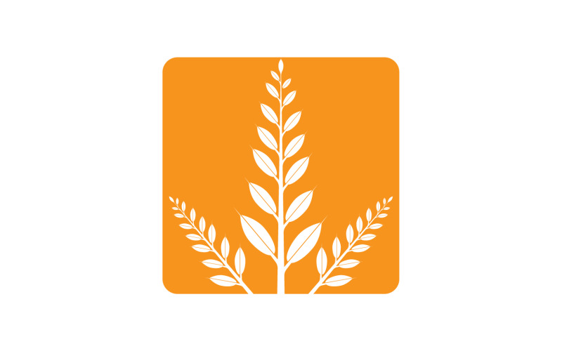 Golden Wheat Ears Harvest Decorative Element v16 Logo Template