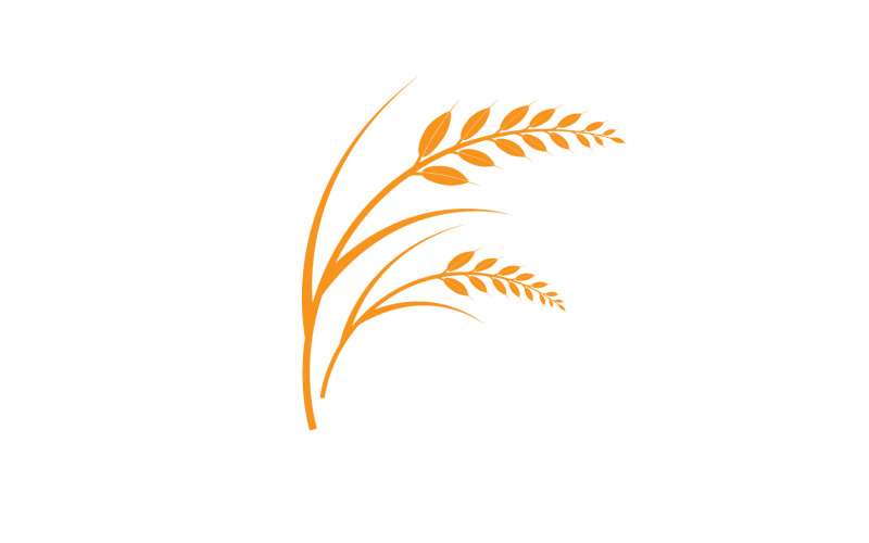 Golden Wheat Ears Harvest Decorative Element v2 Logo Template