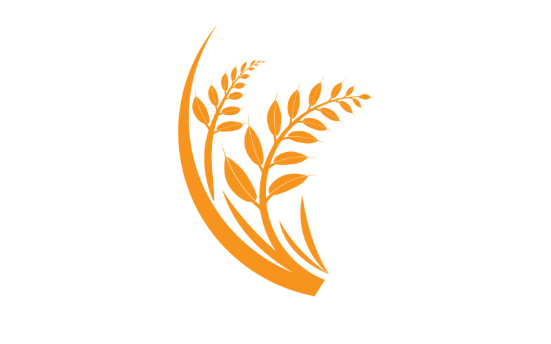 Golden Wheat Ears Harvest Decorative Element v4 Logo Template