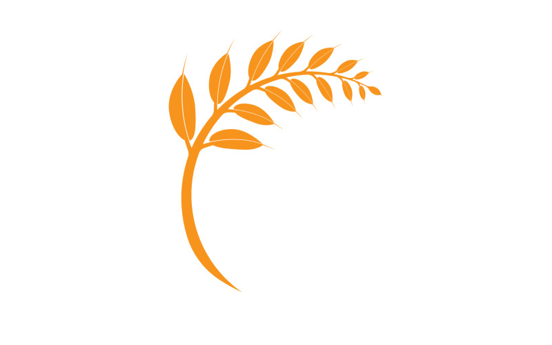 Golden Wheat Ears Harvest Decorative Element v5 Logo Template