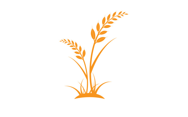 Golden Wheat Ears Harvest Decorative Element v8 Logo Template