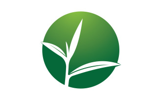 Natural leaf mint green logo illustration design vector v22
