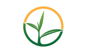 Natural leaf mint green logo illustration design vector v26